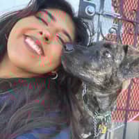 Sitter Profile Image: Jessica T.