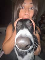 Sitter Profile Image: Angelica B.