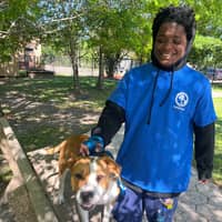 Sitter Profile Image: Noah W.