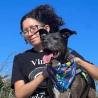 Sitter Profile Image: Violeta C.