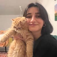 Sitterprofilbild: Nazan H.