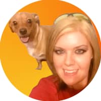 Sitter Profile Image: Anna N.