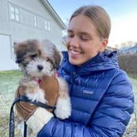 Profilbilde av hundepasser: Karen Andrea A.