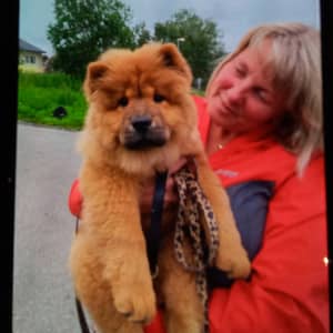 Profilbilde av hundepasser: Inger-Lise B.