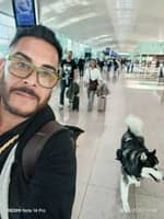 Immagine del profilo del sitter: Henry M.