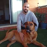 Sitter Profile Image: Daniel ..