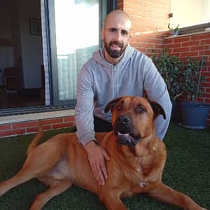 Sitter Profile Image: Daniel ..