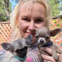 Sitter Profile Image: YULIA P.