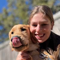 Sitter Profile Image: Abigail P.