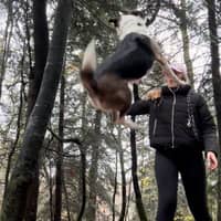 Photo de profil du pet sitter : Agathe C.