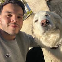 Photo de profil du pet sitter : Luca L.