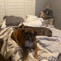 Sitter Profile Image: Christina T.