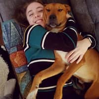 Sitter Profile Image: Kelly & Craig S.