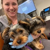 Sitter Profile Image: Gina D.