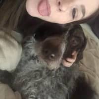 Sitter Profile Image: Katie A.