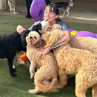 Sitter Profile Image: Alicia O.