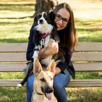 Sitter Profile Image: Allie N.