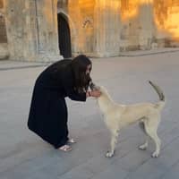 Sitter Profile Image: Natalie M.