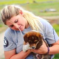 Sitter Profile Image: Laurel J.