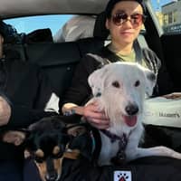 Sitter Profile Image: Alfred C.