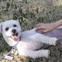 Sitter Profile Image: Jennifer M.