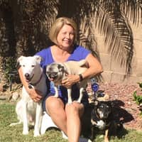 Sitter Profile Image: Paula S.