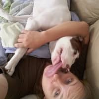 Sitter Profile Image: Dixie S.