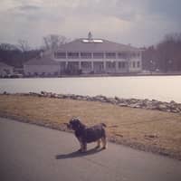 Sitter Profile Image: Sarah C.