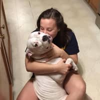 Sitter Profile Image: Brenna B.