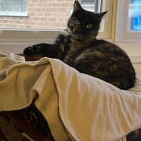 Sitter Profile Image: Pamela G.