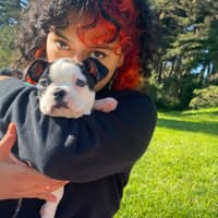 Sitter Profile Image: Cynthia M.