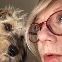 Sitter Profile Image: Anne M.