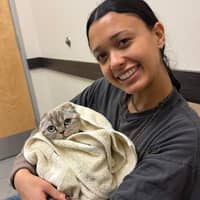 Sitter Profile Image: akira c.