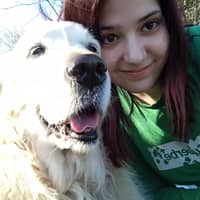 Immagine del profilo del sitter: Isabella S.