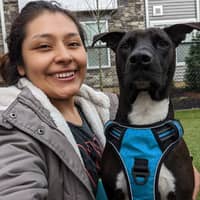 Sitter Profile Image: Katya C.