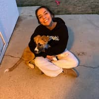 Sitter Profile Image: Emily R.