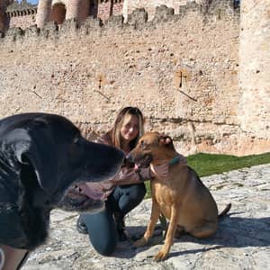 Sitter Profile Image: Amanda G.