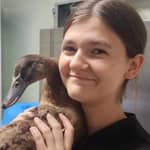 Sitter Profile Image: Erin D.