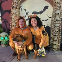 Sitter Profile Image: Gabriela & Richard C.