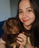 Photo de profil du pet sitter : Maria Eduarda B.