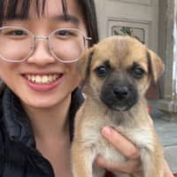 Profielfoto oppas: xiangyu M.