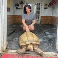 Sitter Profile Image: Charlotte T.