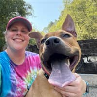 Sitter Profile Image: Erin D.