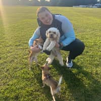 Sitter Profile Image: Jack H.