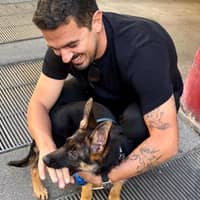 Sitter Profile Image: Luigi L.