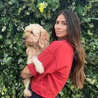 Sitter Profile Image: Sherry L.