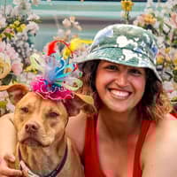 Sitter Profile Image: Victoria A.