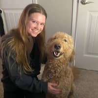 Sitter Profile Image: Lily S.