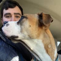 Sitter Profile Image: Michael S.