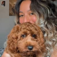 Sitter Profile Image: Maria Jose G.